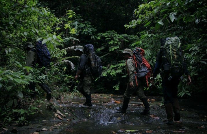 People trekking through the jungle